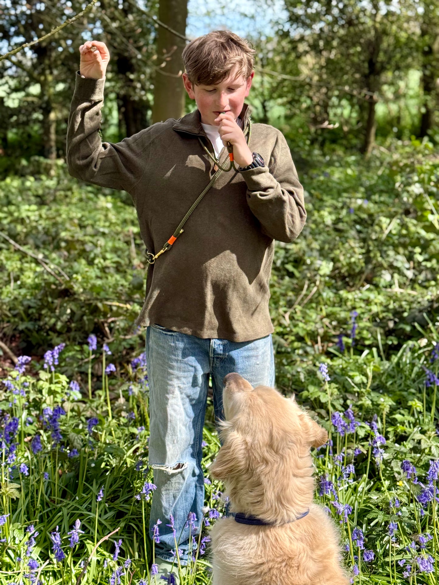 Dog whistle lanyard