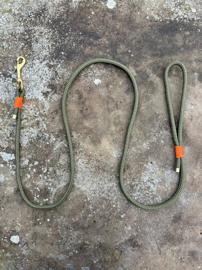 Clip Lead