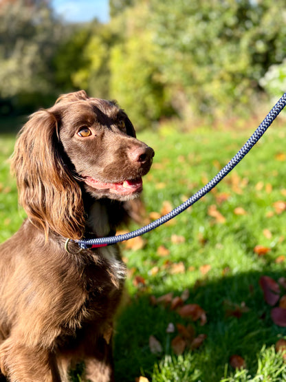 The Boot Room Company Jaeger slip lead